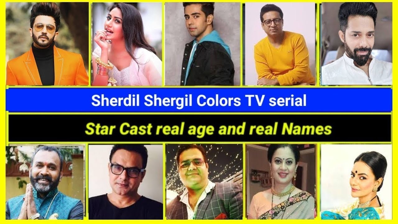 Sherdil Shergill Tv Serial Cast